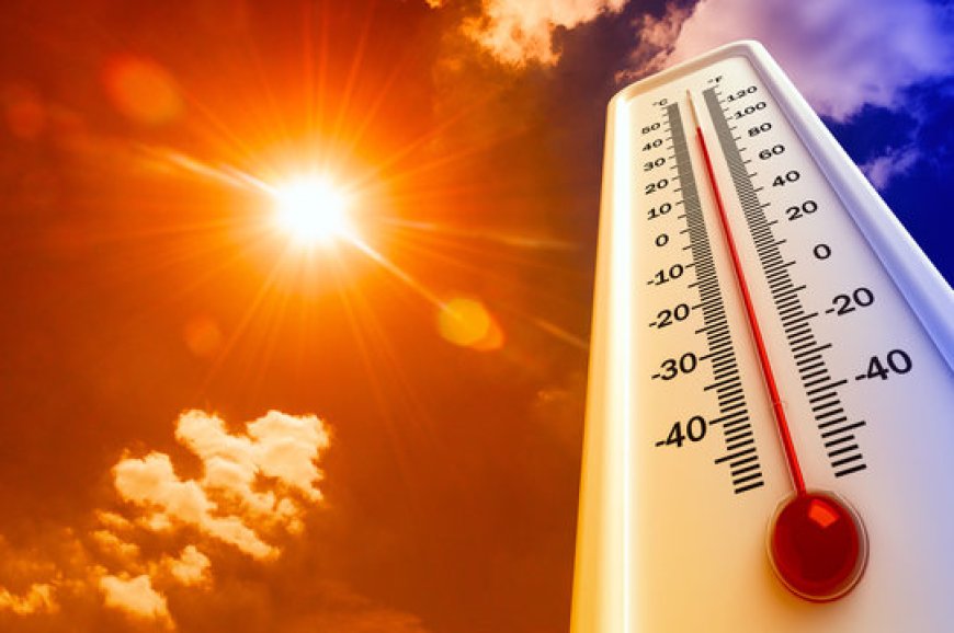 Record-Breaking Temperatures in India: A Rising Environmental Concern