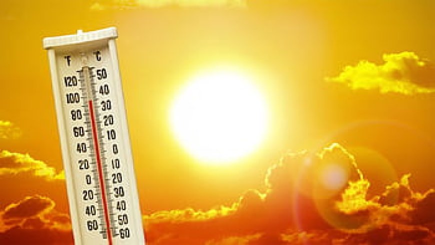 Record-Breaking Temperatures in India: A Rising Environmental Concern