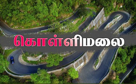 கொள்ளிமலையின் முக்கிய சுற்றுலா இடங்கள் (Top Places to Visit in Kolli Hills)